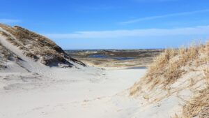 Kunstreise nach Skagen 2018