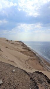 Kunstreise nach Skagen 2018
