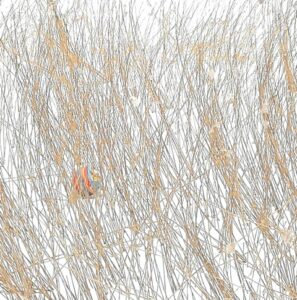 Bild2_Ursula-Holz