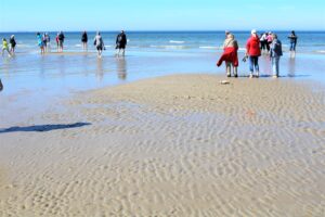 Kunstreise nach Skagen 2018