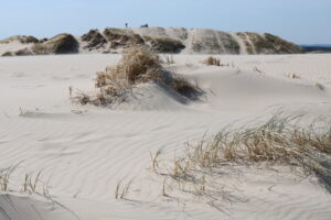 Kunstreise nach Skagen 2018