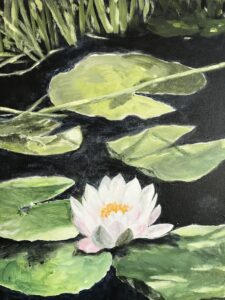 Seerose Arnis Ein Gemälde mit einer Seerose und mehrere Seerosenblätter in Grüntönen auf schwarzem Wasser. Die Lichtspiegelung ist schön eingefangen.