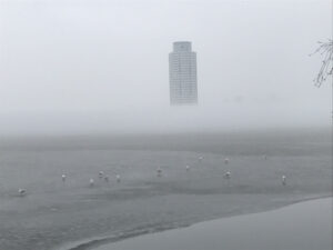 Wikingturm im Nebel Winter-in-Schleswig